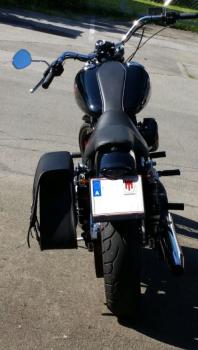 Harley Davidson Saddlebag 11 (Sportster, Dyna)